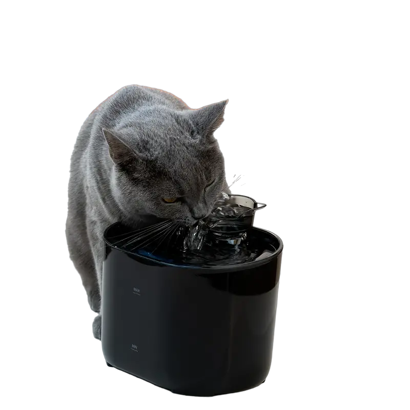Smart USB-Powered 2.2L Pet Water Fountain for Cats and Dogs - Black-0